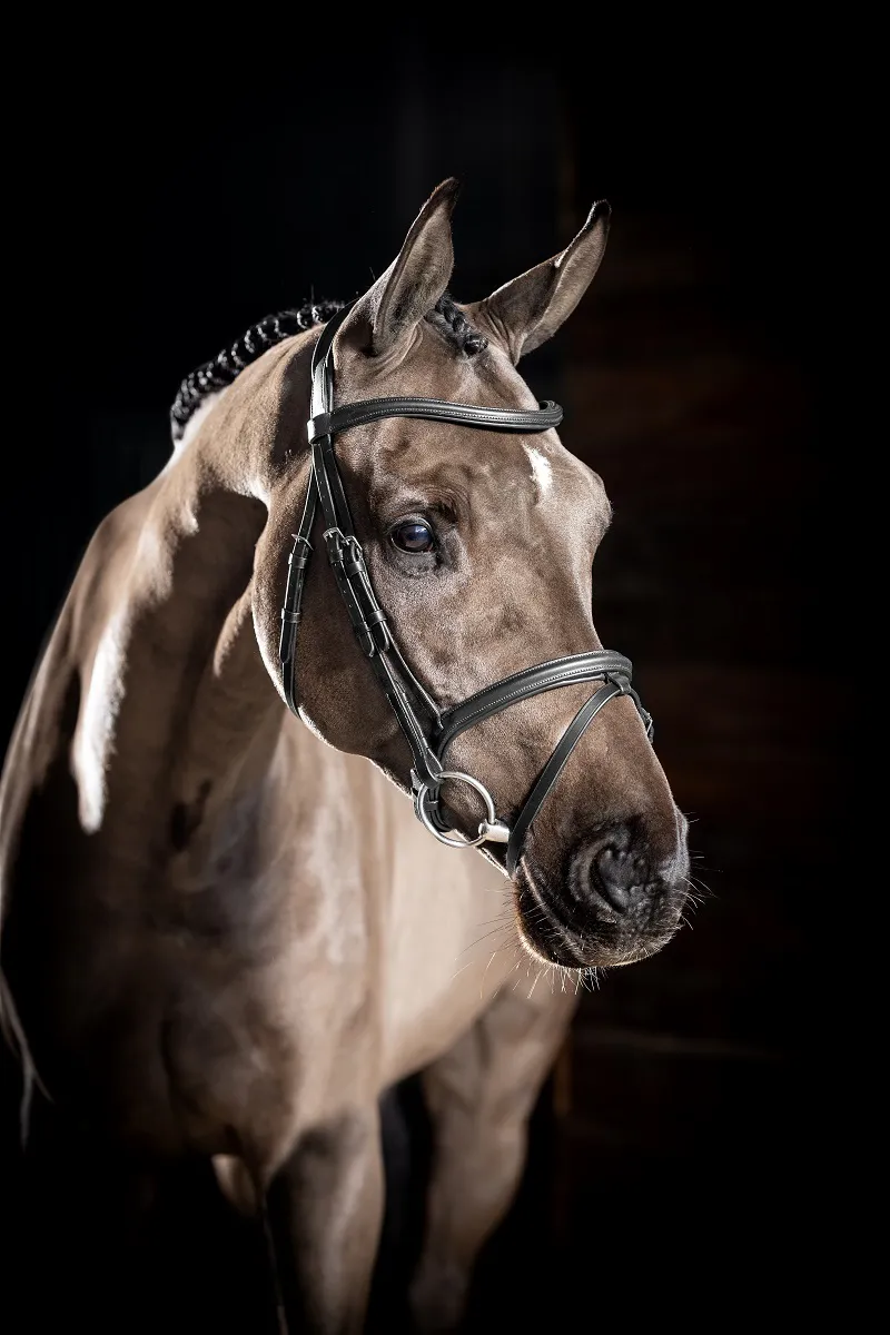 LeMieux Arika Flash Bridle in Black and Silver